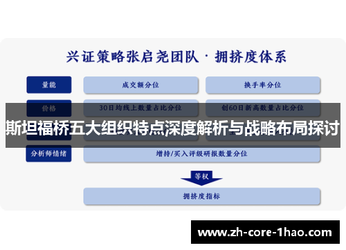斯坦福桥五大组织特点深度解析与战略布局探讨