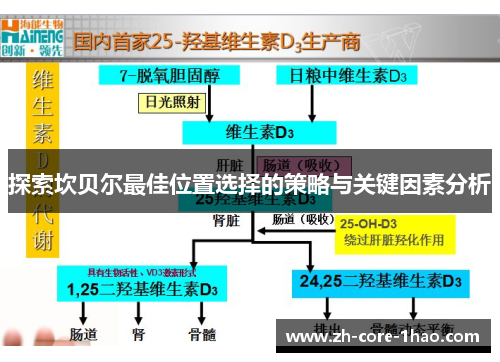 探索坎贝尔最佳位置选择的策略与关键因素分析