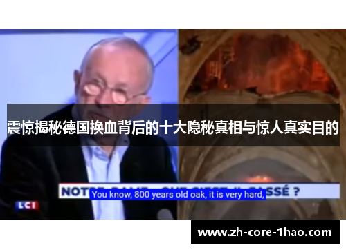 震惊揭秘德国换血背后的十大隐秘真相与惊人真实目的 震惊揭秘德国换血背后的十大隐秘真相与惊人真实目的